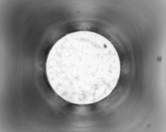 X0000103170370200809192122