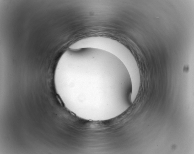 X0000103170372200809192122