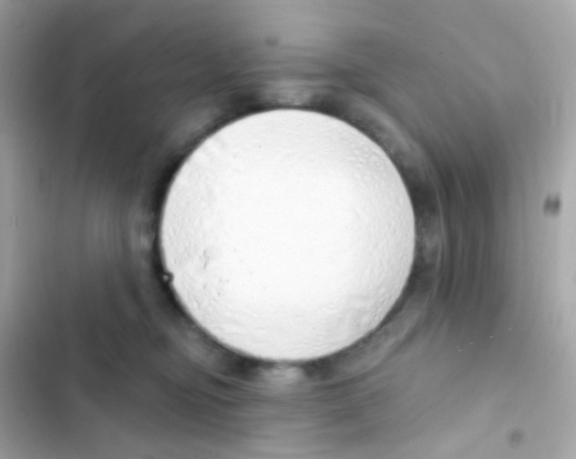 X0000103170374200809192122