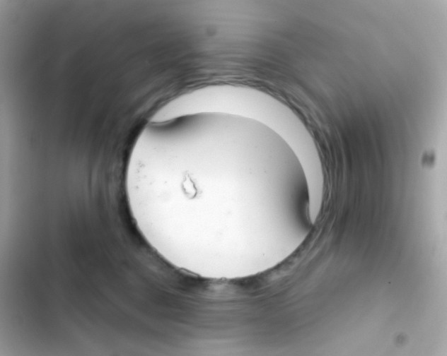 X0000103170376200809192122