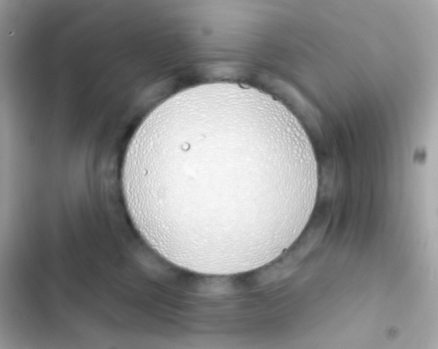 X0000103170377200809192122