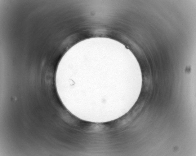 X0000103170379200809192122