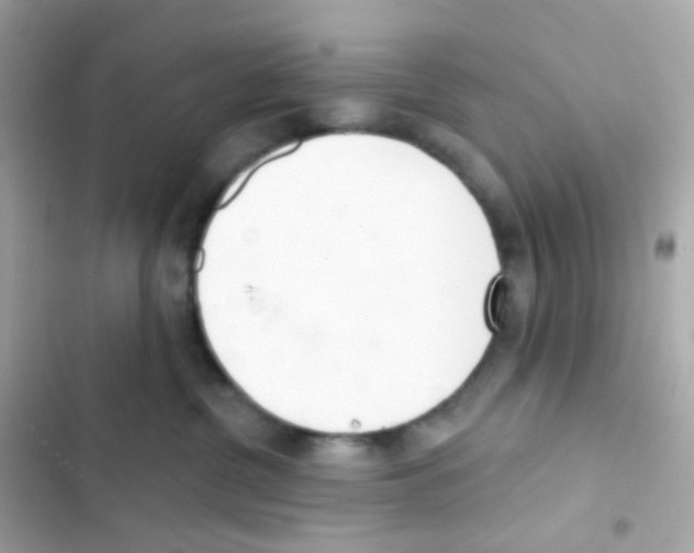 X0000103170380200809192122