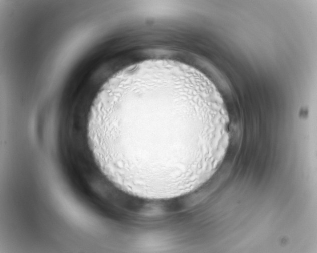 X0000103170381200809192122