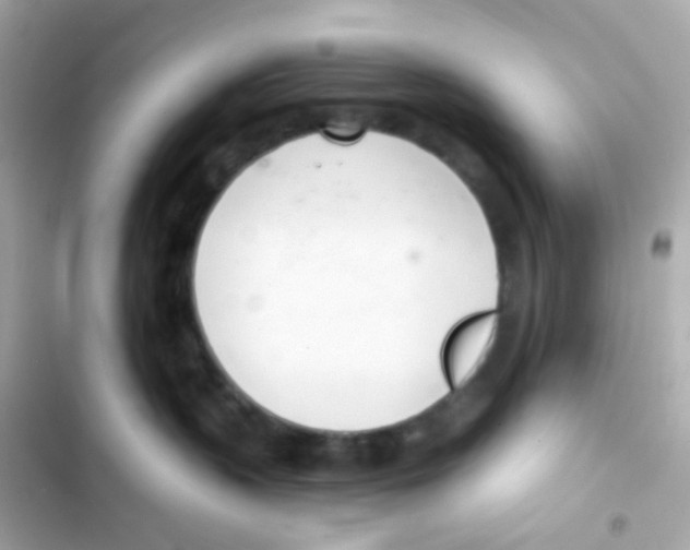 X0000103170383200809192122