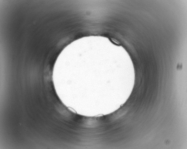 X0000103170384200809192122