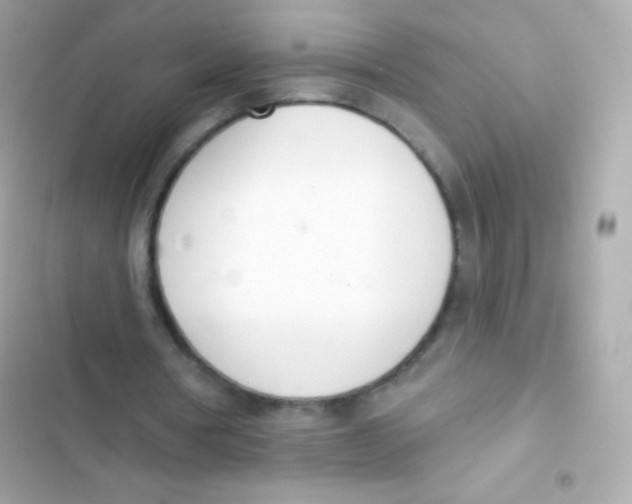 X0000103170386200809192121