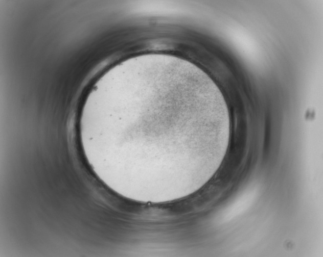 X0000103170387200809192121