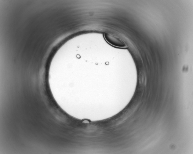 X0000103170388200809192121