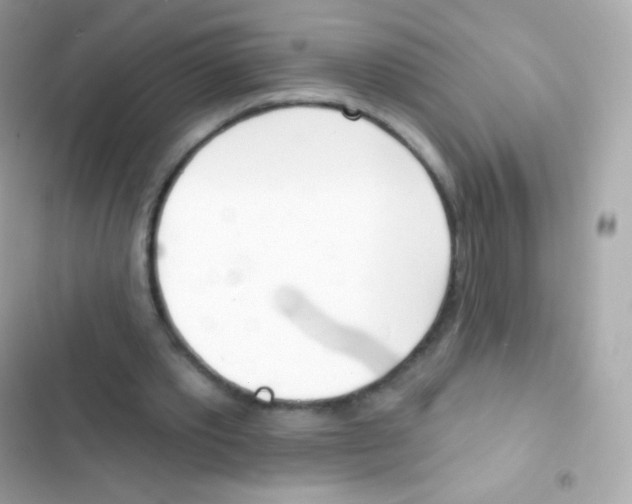 X0000103170389200809192121