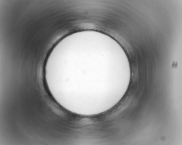 X0000103170390200809192121