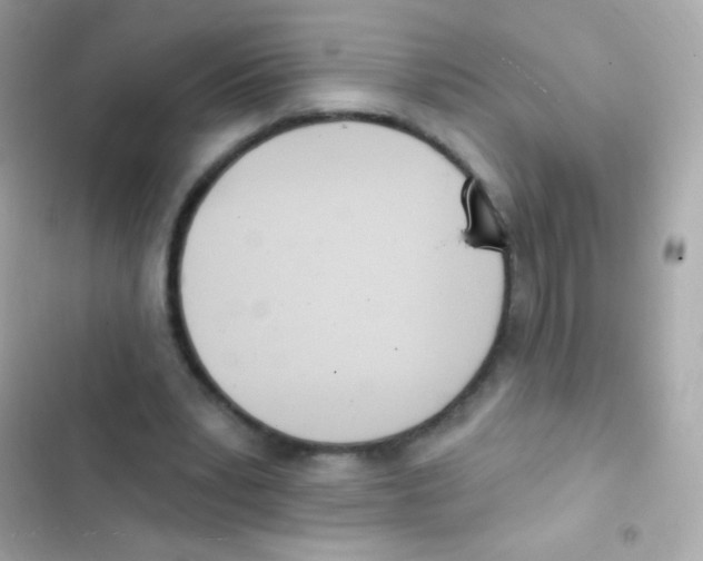 X0000103170391200809192121