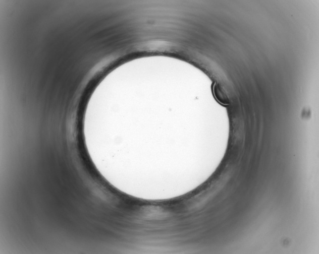 X0000103170392200809192121