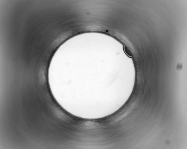 X0000103170393200809192121