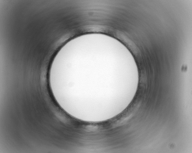 X0000103170394200809192121