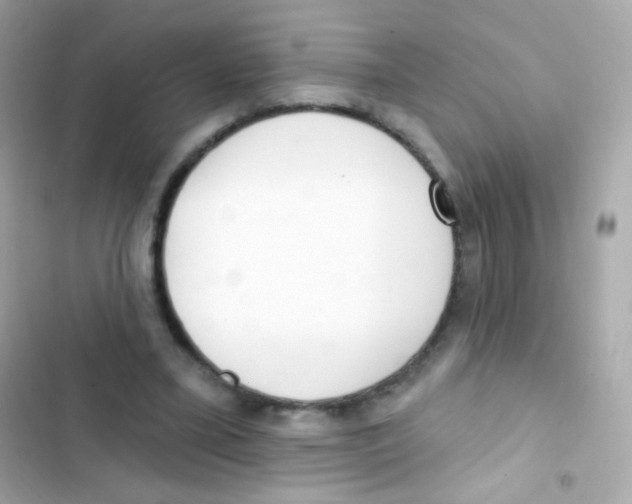 X0000103170395200809192121