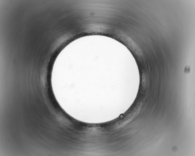 X0000103170396200809192121