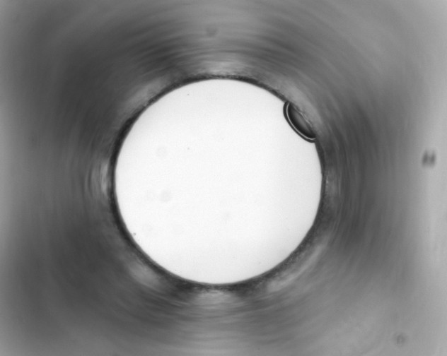 X0000103170397200809192121