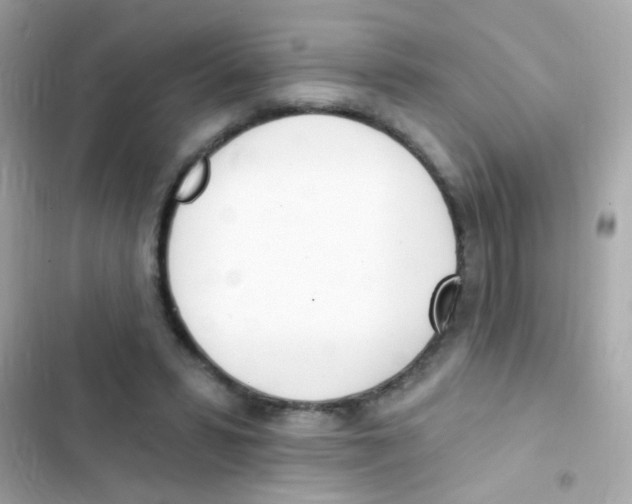 X0000103170399200809192121