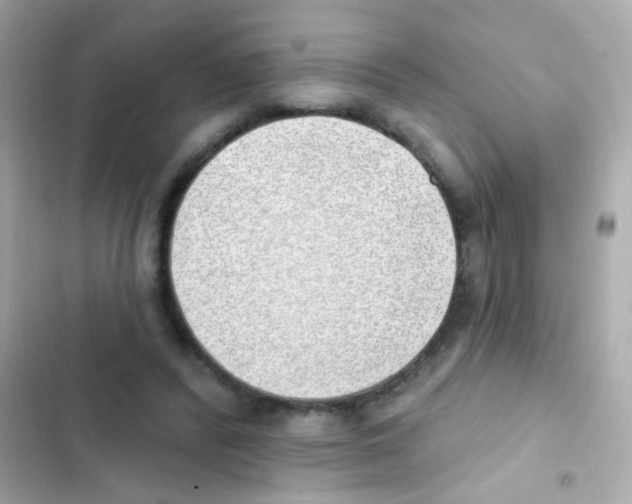 X0000103170400200809192121