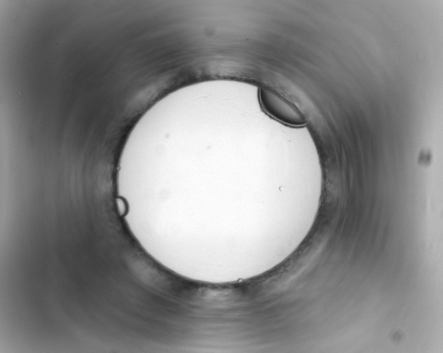 X0000103170401200809192121