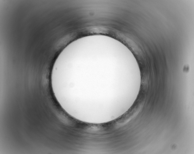 X0000103170402200809192121