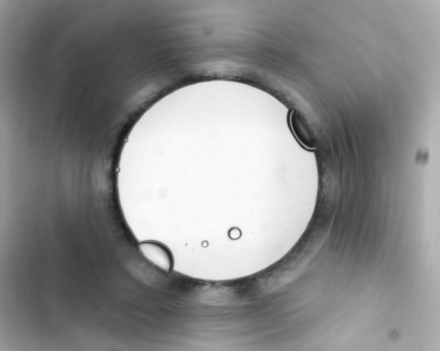 X0000103170403200809192121