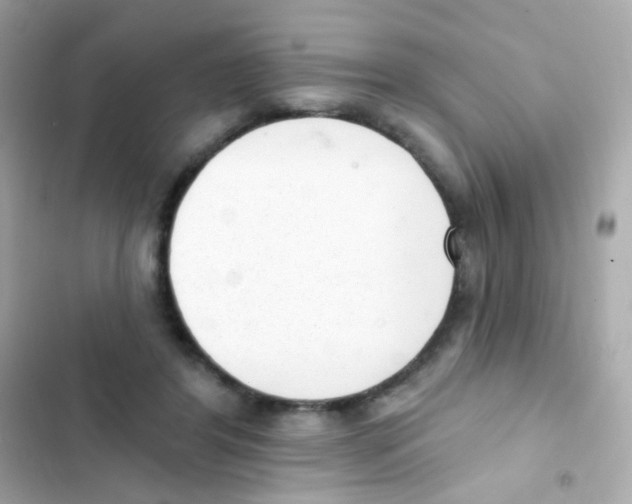 X0000103170404200809192121