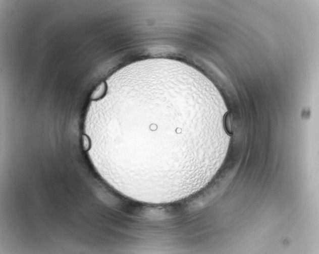 X0000103170405200809192121