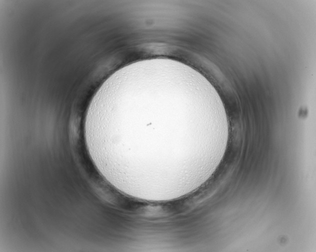 X0000103170406200809192121