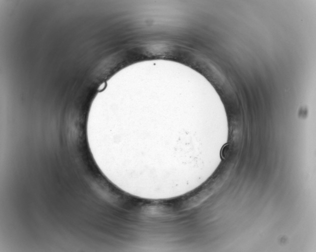 X0000103170408200809192121