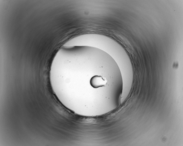 X0000103170409200809192121