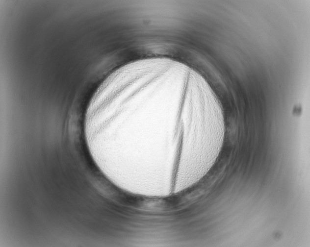 X0000103170410200809192121