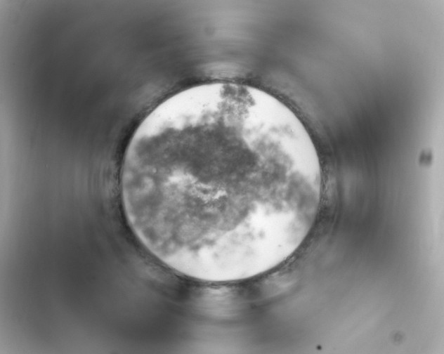 X0000103170411200809192121