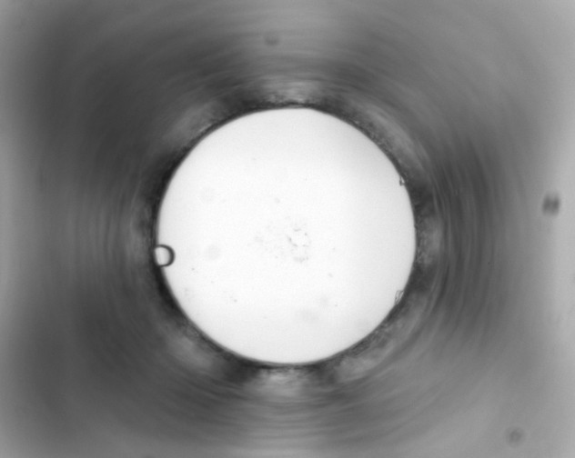 X0000103170414200809192121