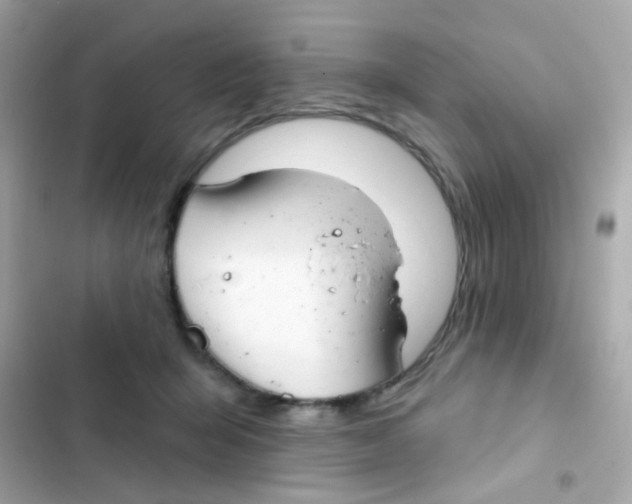 X0000103170415200809192121