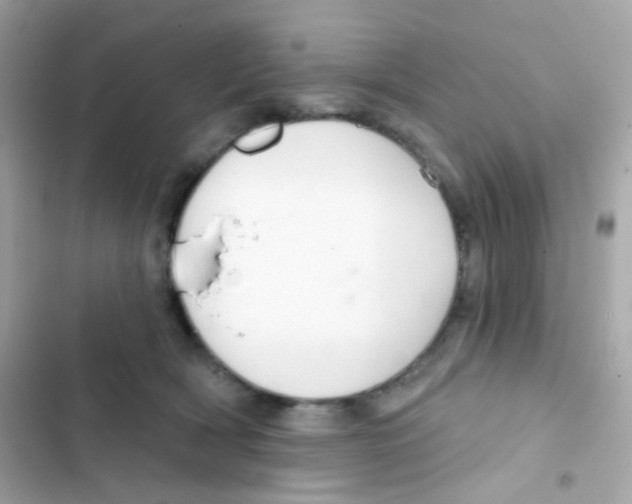 X0000103170418200809192121