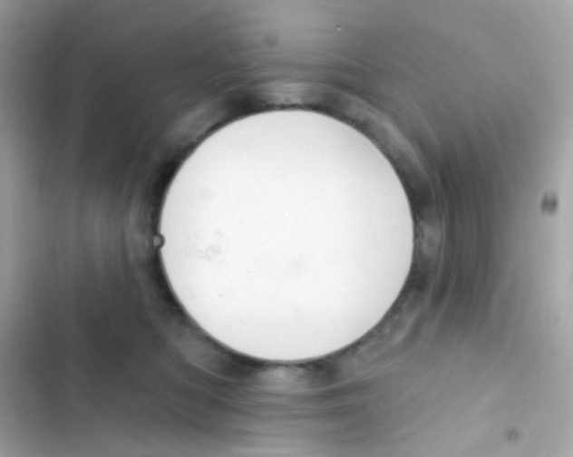 X0000103170422200809192121