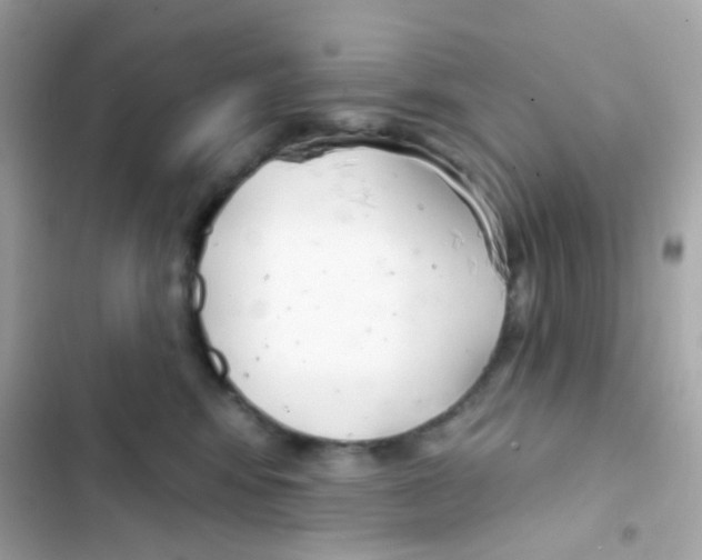 X0000103170424200809192121