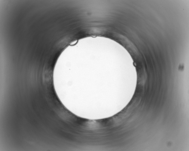 X0000103170425200809192121