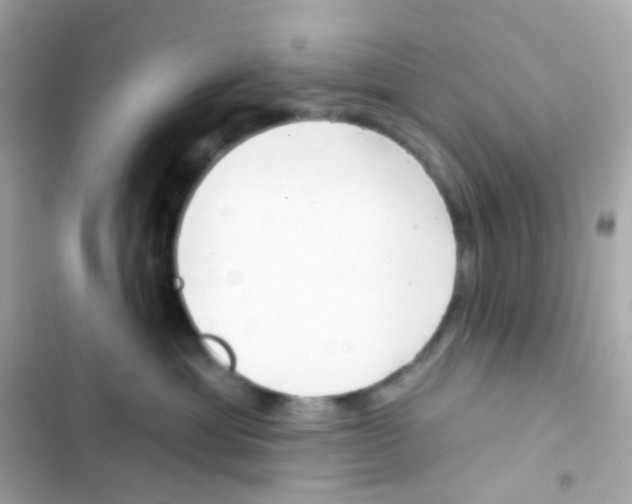 X0000103170429200809192121