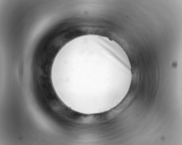 X0000103170430200809192121