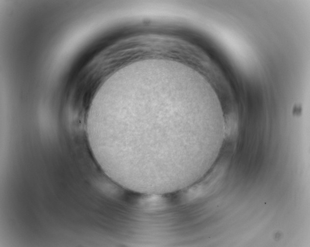 X0000103170431200809192121