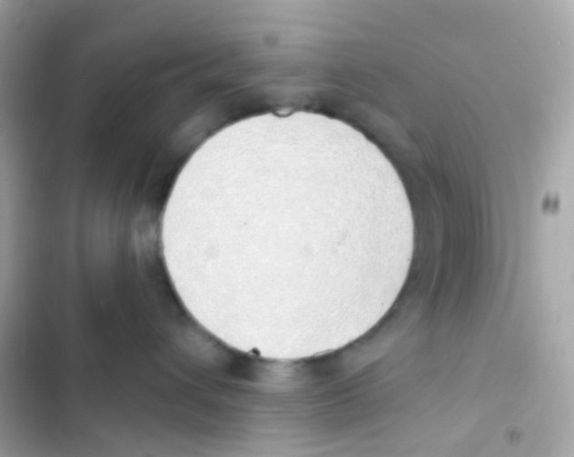 X0000103170432200809192121