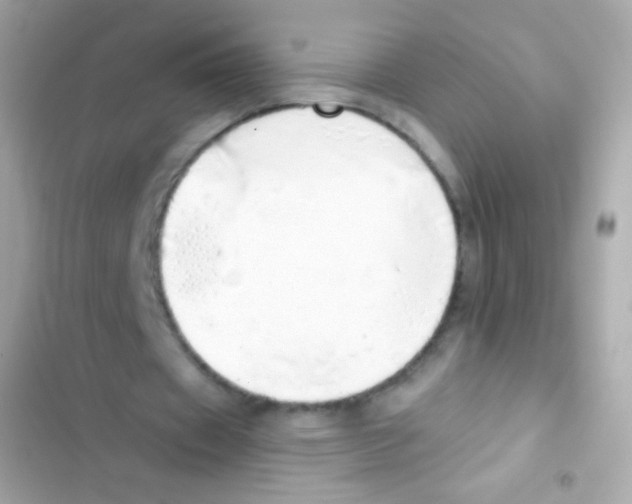 X0000103170433200809192120