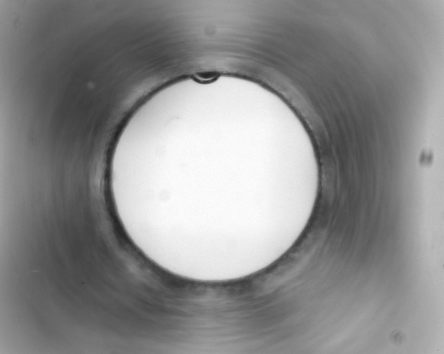 X0000103170434200809192120