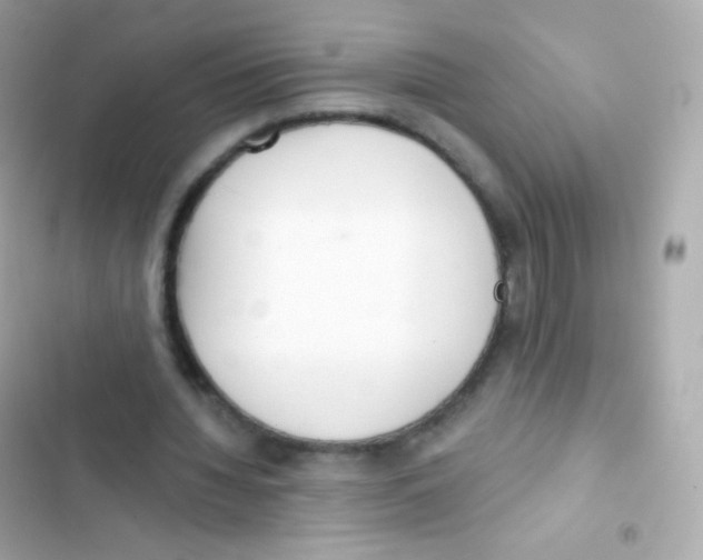 X0000103170436200809192120