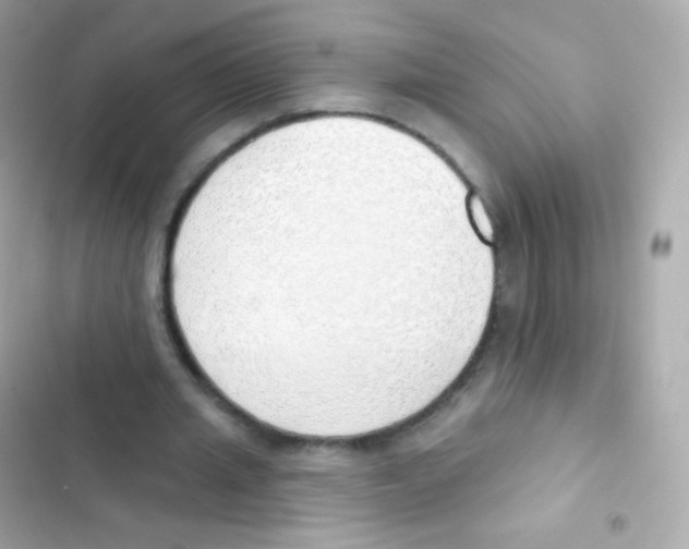 X0000103170437200809192120