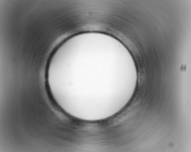 X0000103170438200809192120