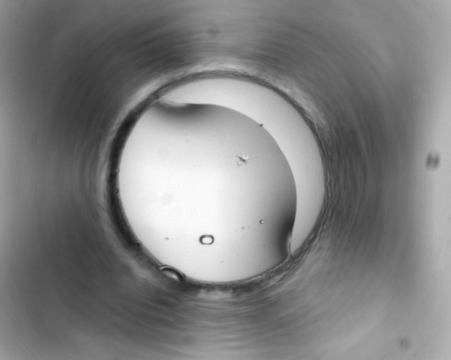 X0000103170440200809192120